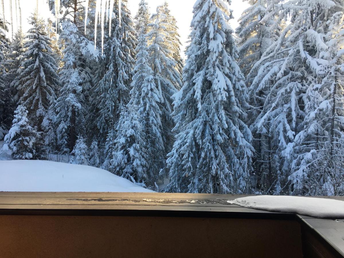 Borovets Chalets المظهر الخارجي الصورة
