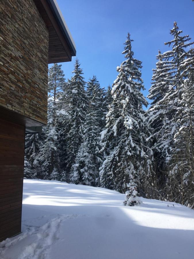 Borovets Chalets المظهر الخارجي الصورة