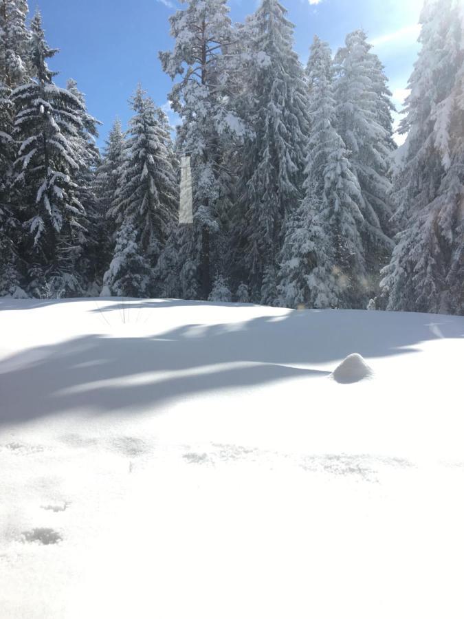 Borovets Chalets المظهر الخارجي الصورة