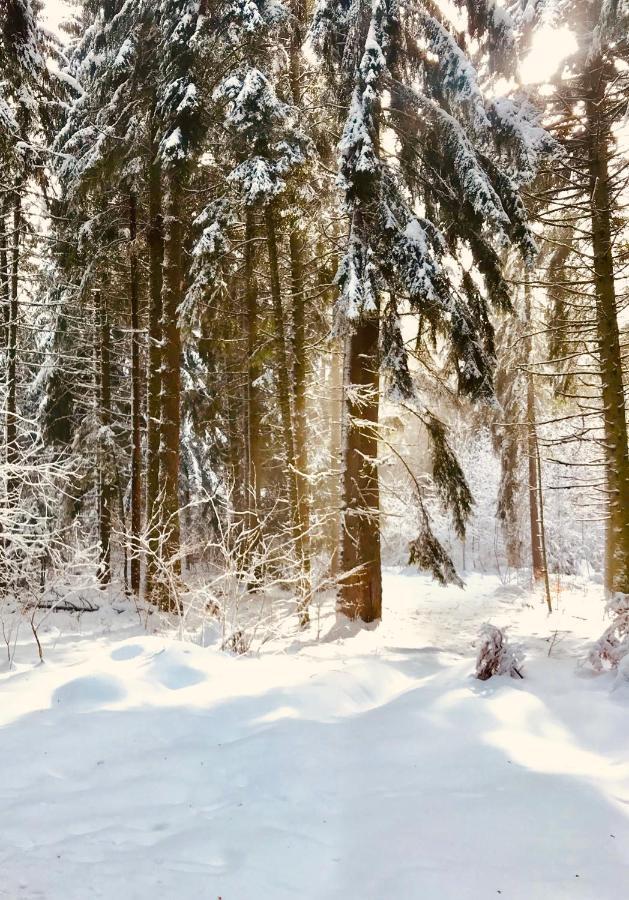 Borovets Chalets المظهر الخارجي الصورة