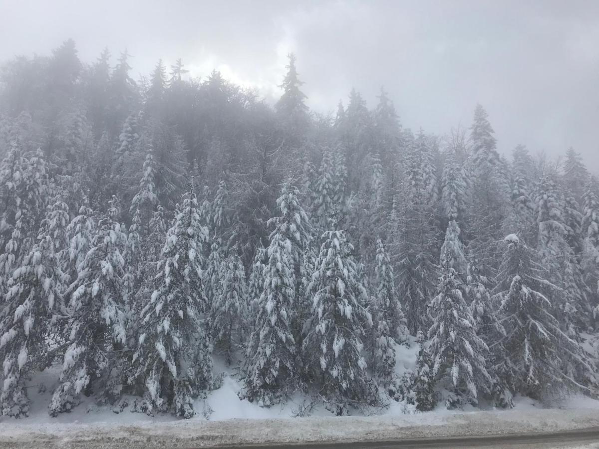 Borovets Chalets المظهر الخارجي الصورة